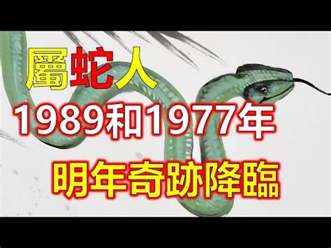 1989五行屬什麼